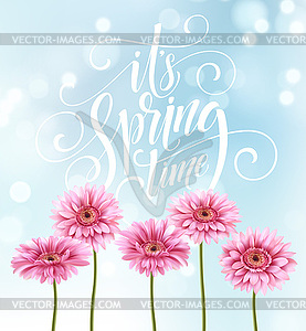 Gerbera Flower Background and Spring Lettering - vector image