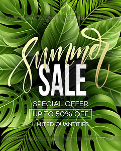 Sale banner, poster with palm leaves, jungle leaf - vector clip art