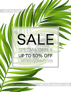 Продажа баннер или плакат с пальмовыми листьями и джунгли - клипарт в векторном формате
