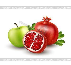Realistic Pomegranate or garnet - royalty-free vector clipart