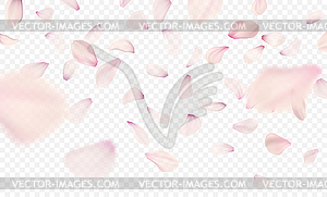 Pink sakura falling petals background - vector clipart