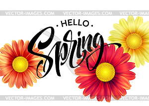 Daisy Flower Background and Hello Spring Lettering - vector image