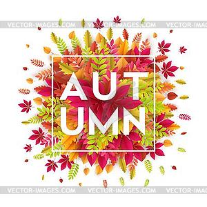 Hello autumn. Different colored autumn leaves - vector clipart