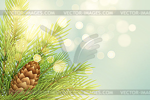 Realistic fir-tree branch with pinecone - vector clipart