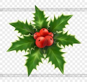 Realistic Christmas holly on background - vector image