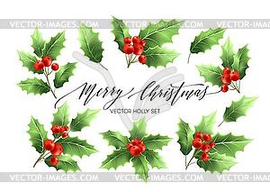 Christmas holly branches realistic s set - vector clipart / vector image