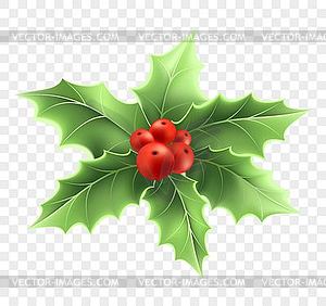 Christmas holly branch realistic - vector image