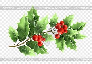 Рождественская ветка дерева - клипарт в векторе / векторное изображение