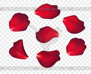 Falling red rose petals  - vector clip art