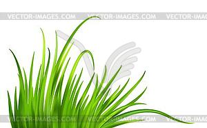 Frash Spring green grass background - vector clipart / vector image