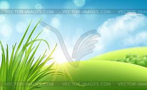 Frash Spring green grass background - vector clip art