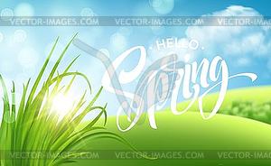 Frash Spring green grass landscape background with - vector image