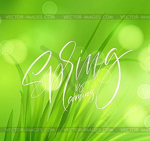 Frash Spring green grass background with handwritin - vector image