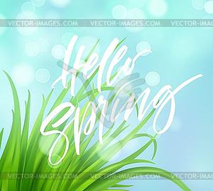 Frash Spring green grass background with handwritin - vector clipart