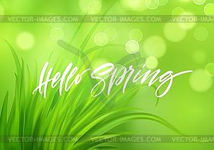 Frash Spring green grass background with handwritin - vector clipart / vector image