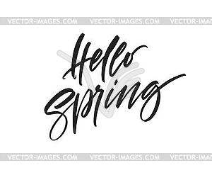 Hello Spring. calligraphy and brush pen lettering - vector image