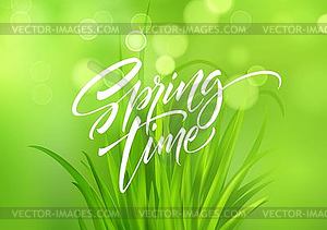 Spring time handwritten calligraphy lettering with - vector clipart