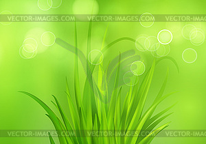 Spring bright green background with fresh spring - vector clipart