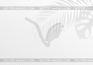 Transparent shadow overlay effect. Tropic leaf. - stock vector clipart