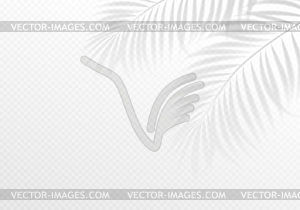 Transparent shadow overlay effect. Tropic leaf. - vector clip art