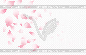Spring time beautiful background with spring - vector image