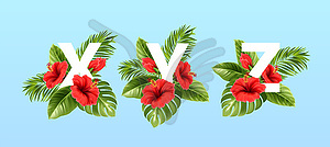 X V Z letters surrounded by summer tropical leaves - vector image