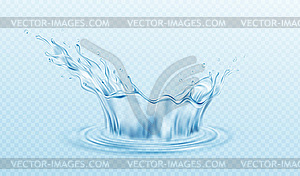 Realistic Water crown splash on transparent - vector clipart