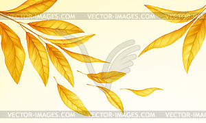 Falling flying autumn leaves background. Realistic - vector image