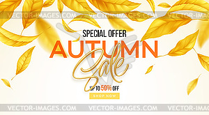 Background for autumn season of discounts. Fall sal - vector image