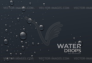 Realistic Water Drops, Real Transparent Effect - vector image