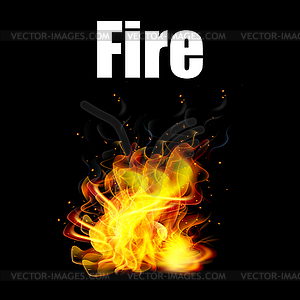 Fire on black background - vector image