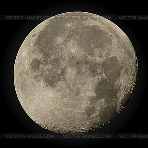 Moon  - vector clipart