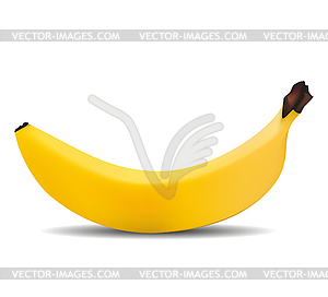 Fruit banana full screen white background with - vector image