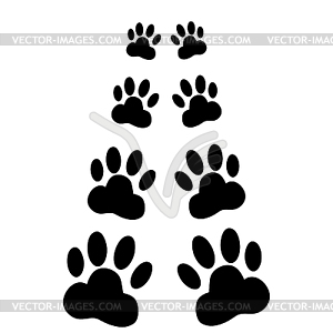 Dog paws following - vector image