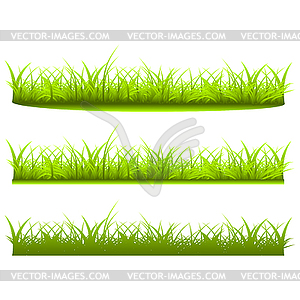 Set variety of grass - vector image