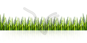 Gazon grass in line - vector image