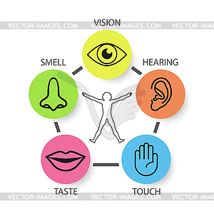 Icon set of five human senses: vision, smell, - vector image