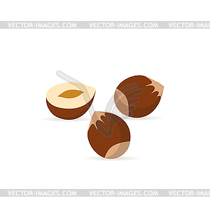 Hazelnut flat icon with shadow - vector clipart