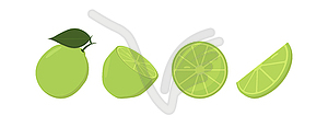 Fresh lime fruits, in different condition - vector clipart