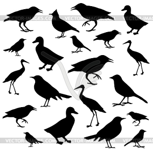 Birds icons - vector clip art