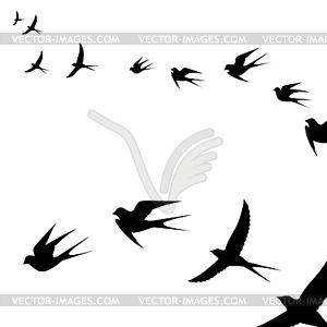 Flock of flying birds - vector clipart