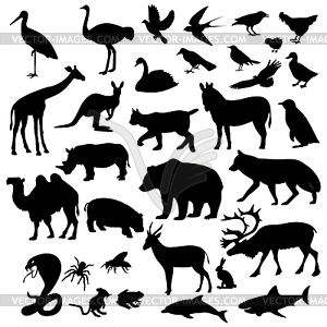 Animals are different - vector clipart