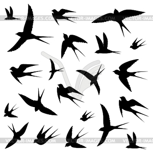 Birds icons - vector clipart