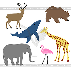 Animals baby - vector clip art