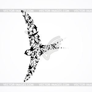 Composite swallow - vector image
