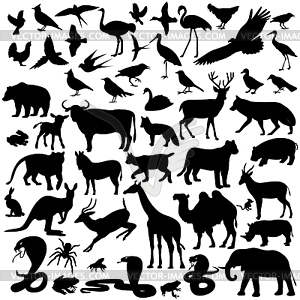 Animals ,image animals - white & black vector clipart