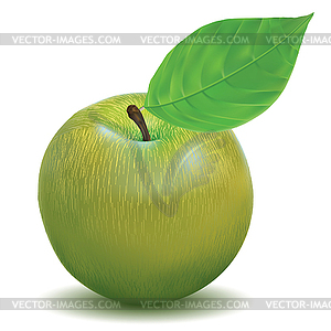 Apple green color - vector clip art