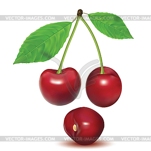 Ripe red berries cherry with leaves - vector clipart