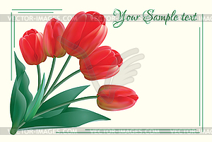 Greeting card with a bouquet of red tulips - vector clipart