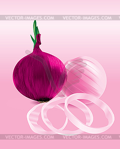 Red onions and chopped onion rings - vector image